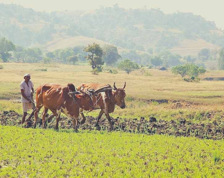 Farm Image