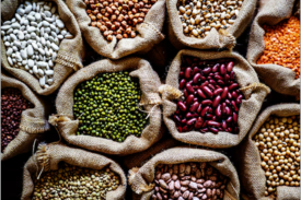 Pulses & Grains